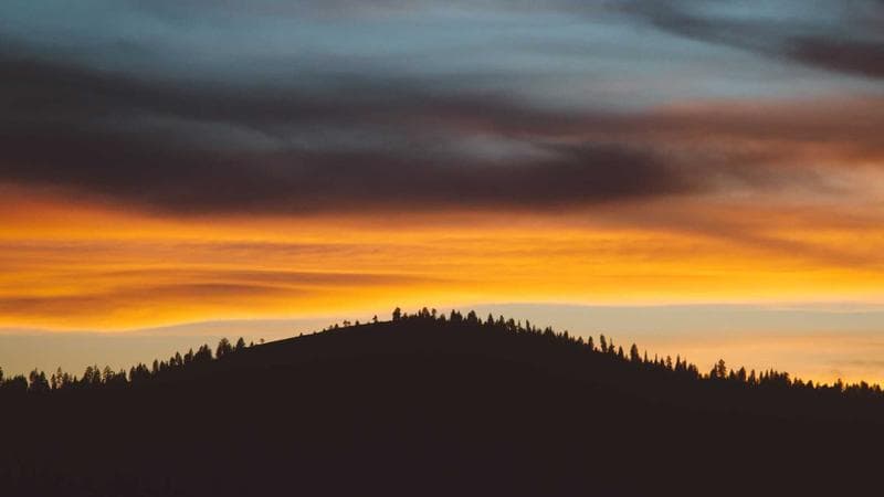 Gratitude